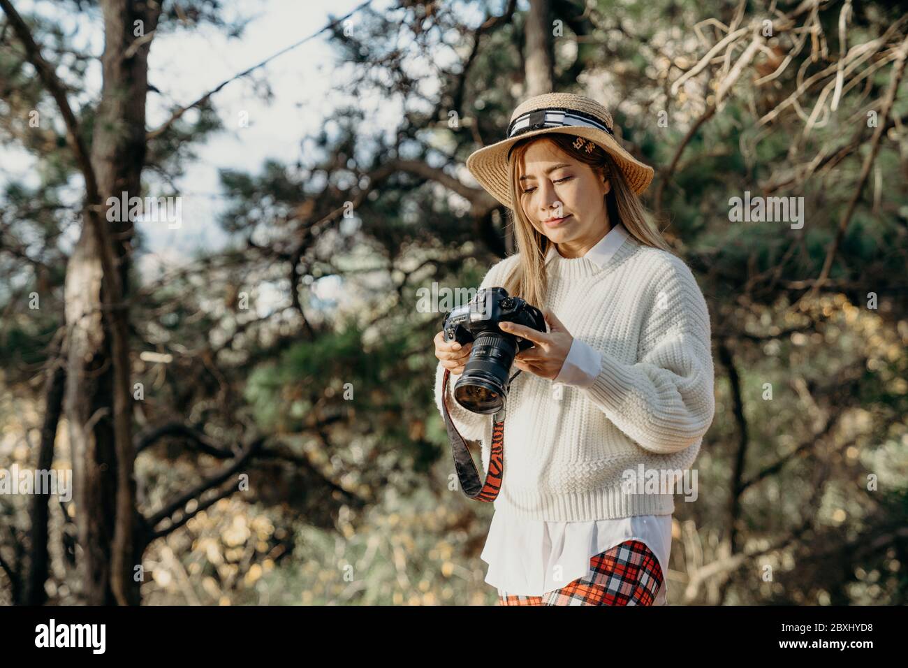 Asian woman photographer enjoys taking pictures with the pine forest nature. Stock Photo