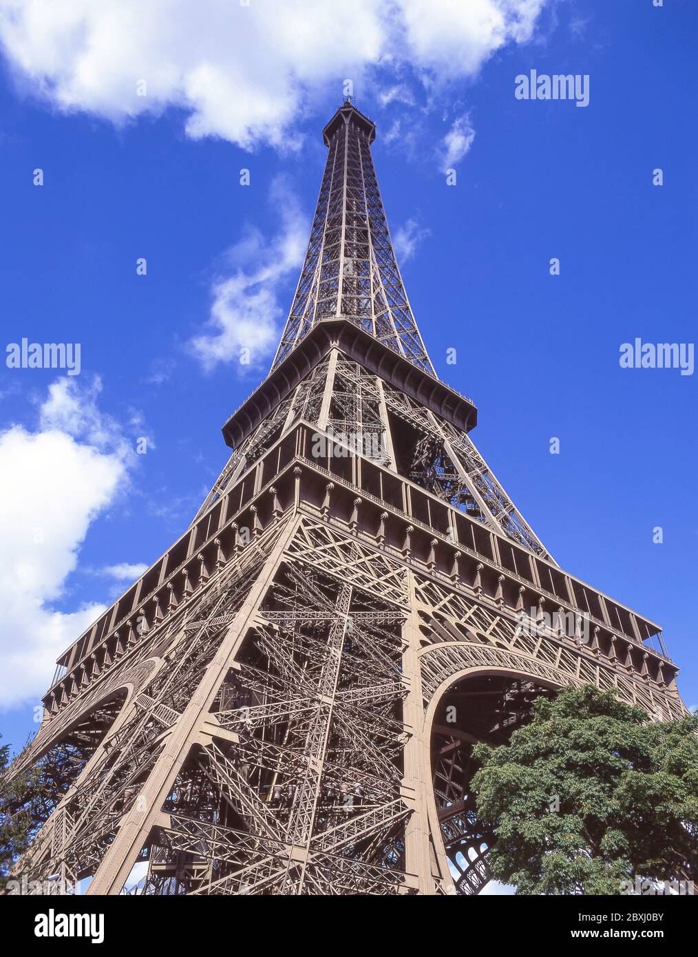 The Eiffel Tower (Tour Eiffel), Champ de Mars, Paris, Île-de-France, France Stock Photo