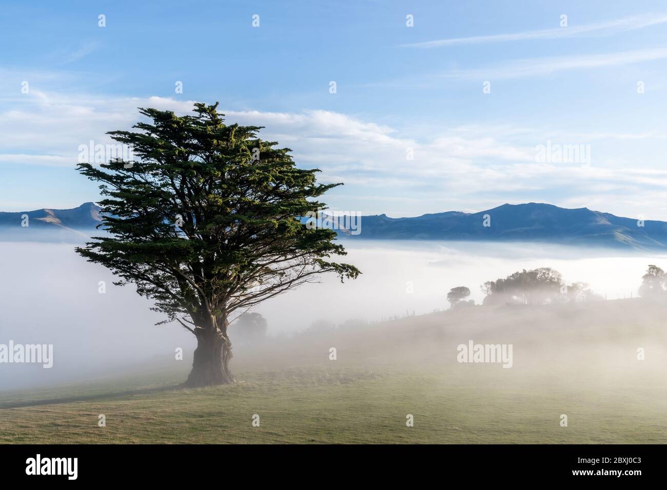 Silhouette of mountains in the misty morning. View of the mountains in early winter. Beautiful nature landscape. Bank Peninsula, Robinsons bay, Canter Stock Photo