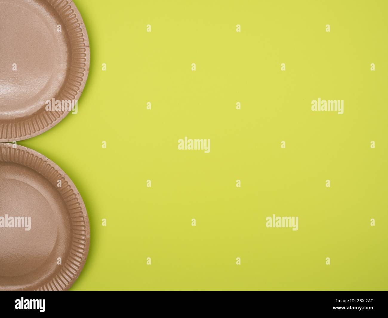 bronze paper plates