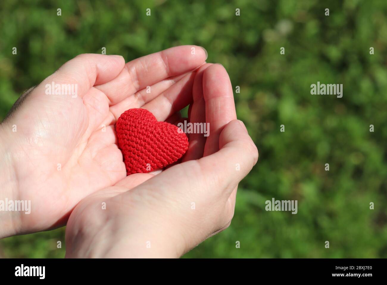 Red knitted heart in female palm hands on blurred nature background. Concept of love, health care, motherhood, blood donation Stock Photo