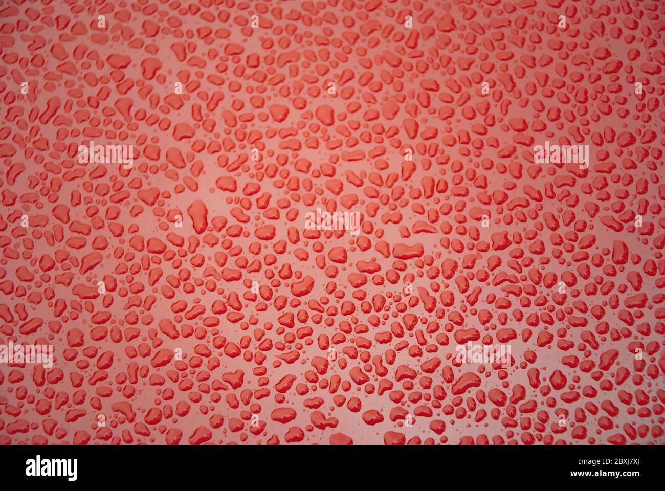 Water drops on red surface Stock Photo