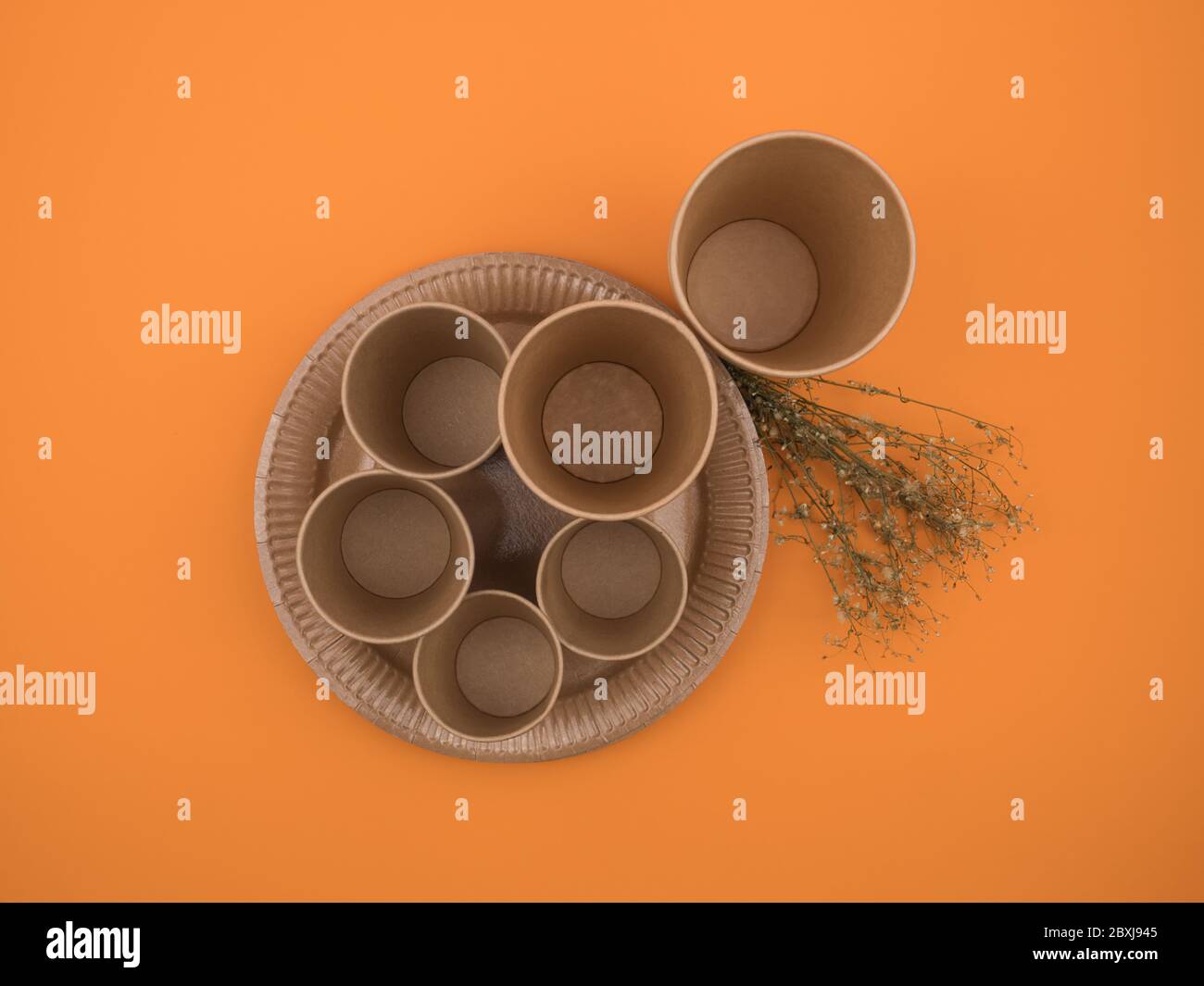 Disposable tableware from eco-friendly materials on orange background. Stock Photo