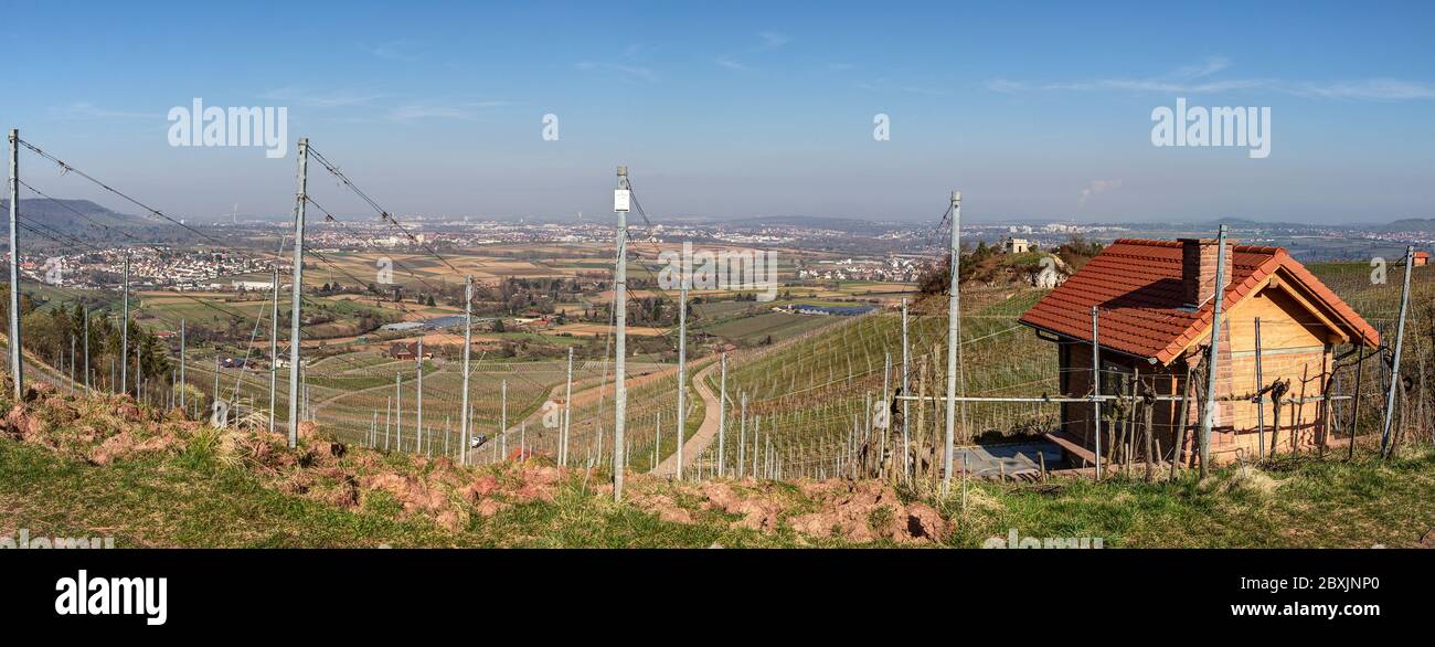 In the heights of the Rems valley above the town of Weinstadt in the midst of vineyards you have a fantastic view over the lower Rems valley to the ci Stock Photo