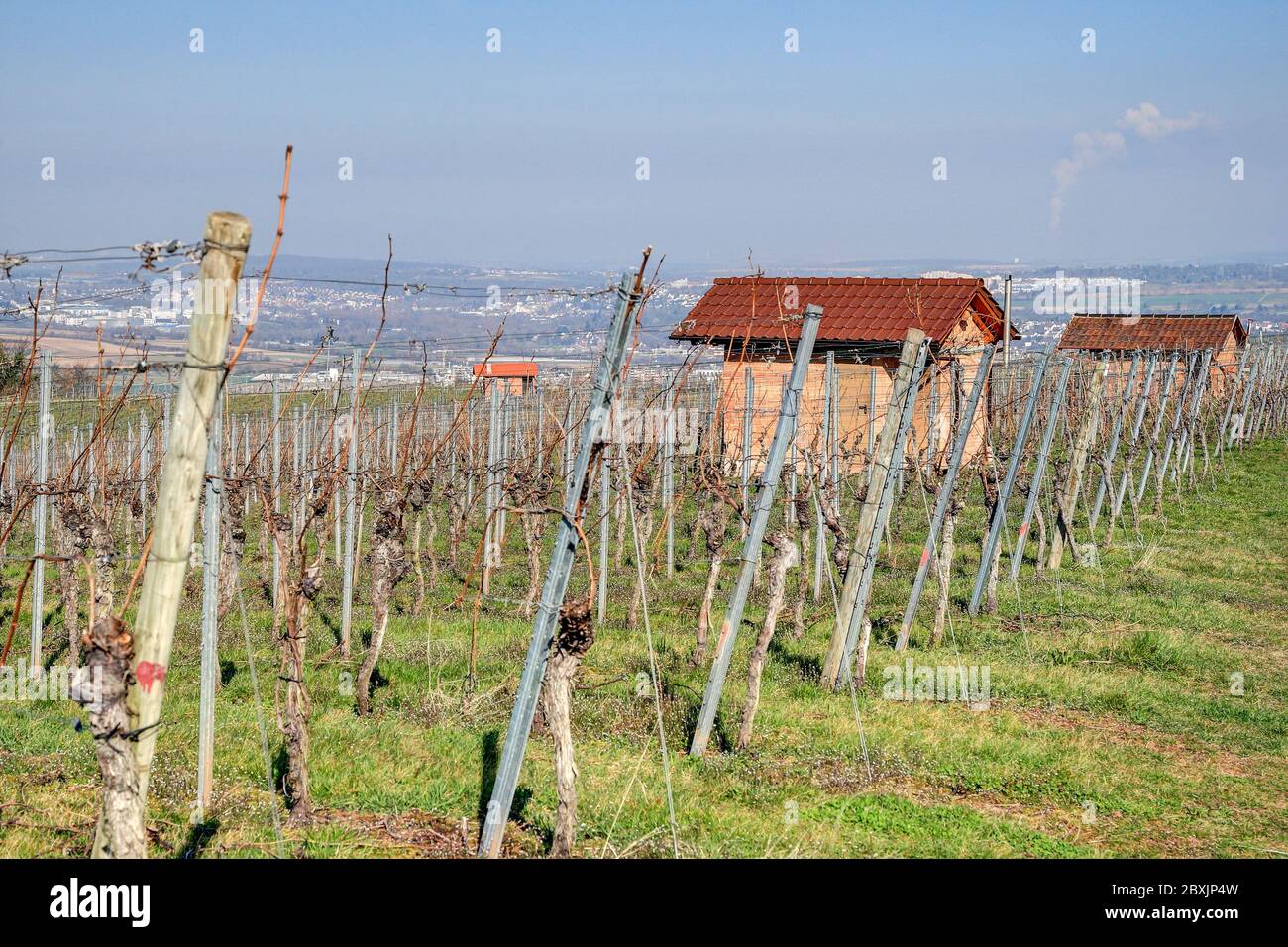 Vineyard cottage in the vineyards with a view of the Rems valley. Stock Photo