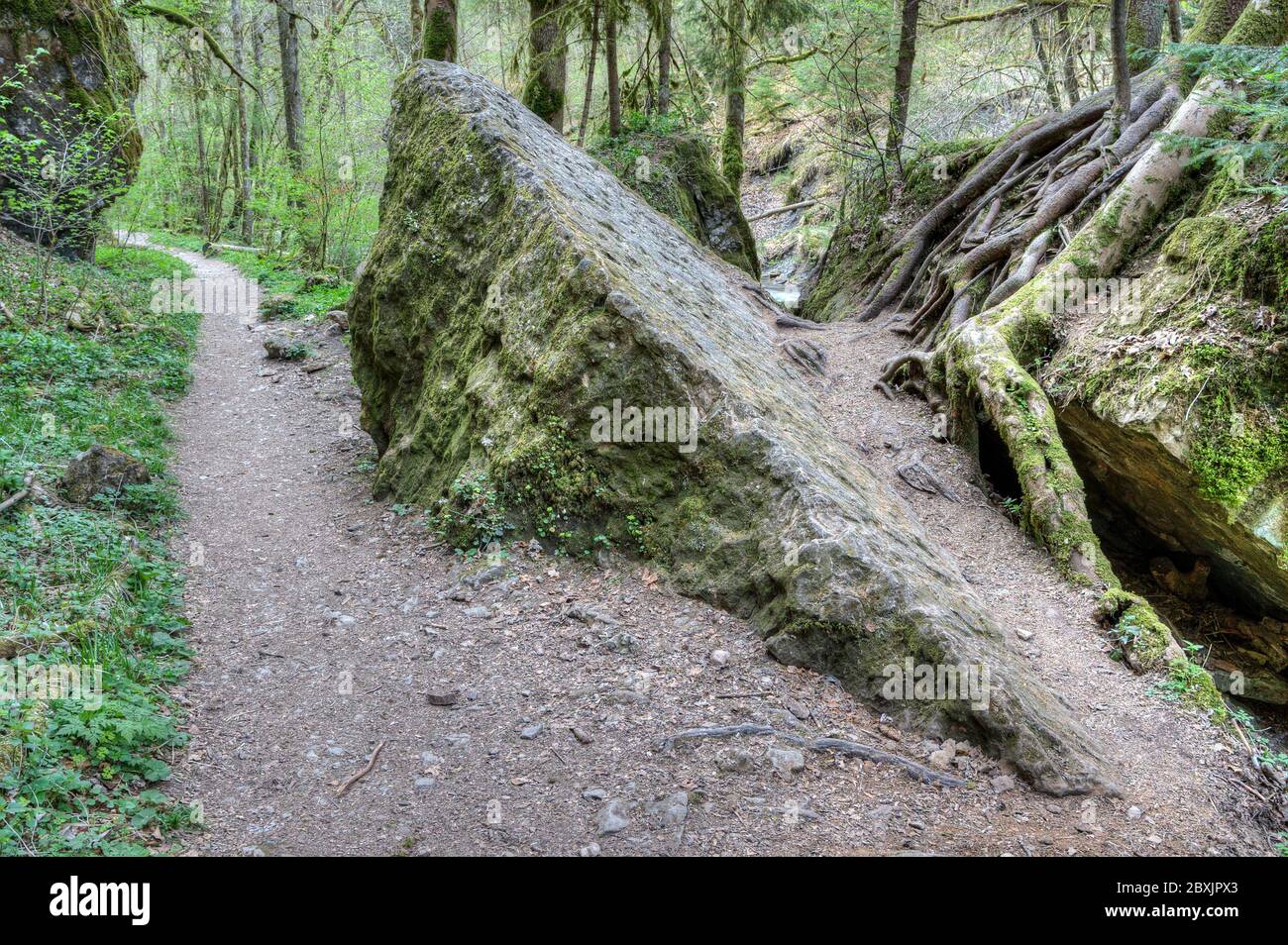 Narrow paths lead the hiker through the Gauchach Gorge past bizarre rock formations, towering cliffs and rushing waterfalls. Stock Photo