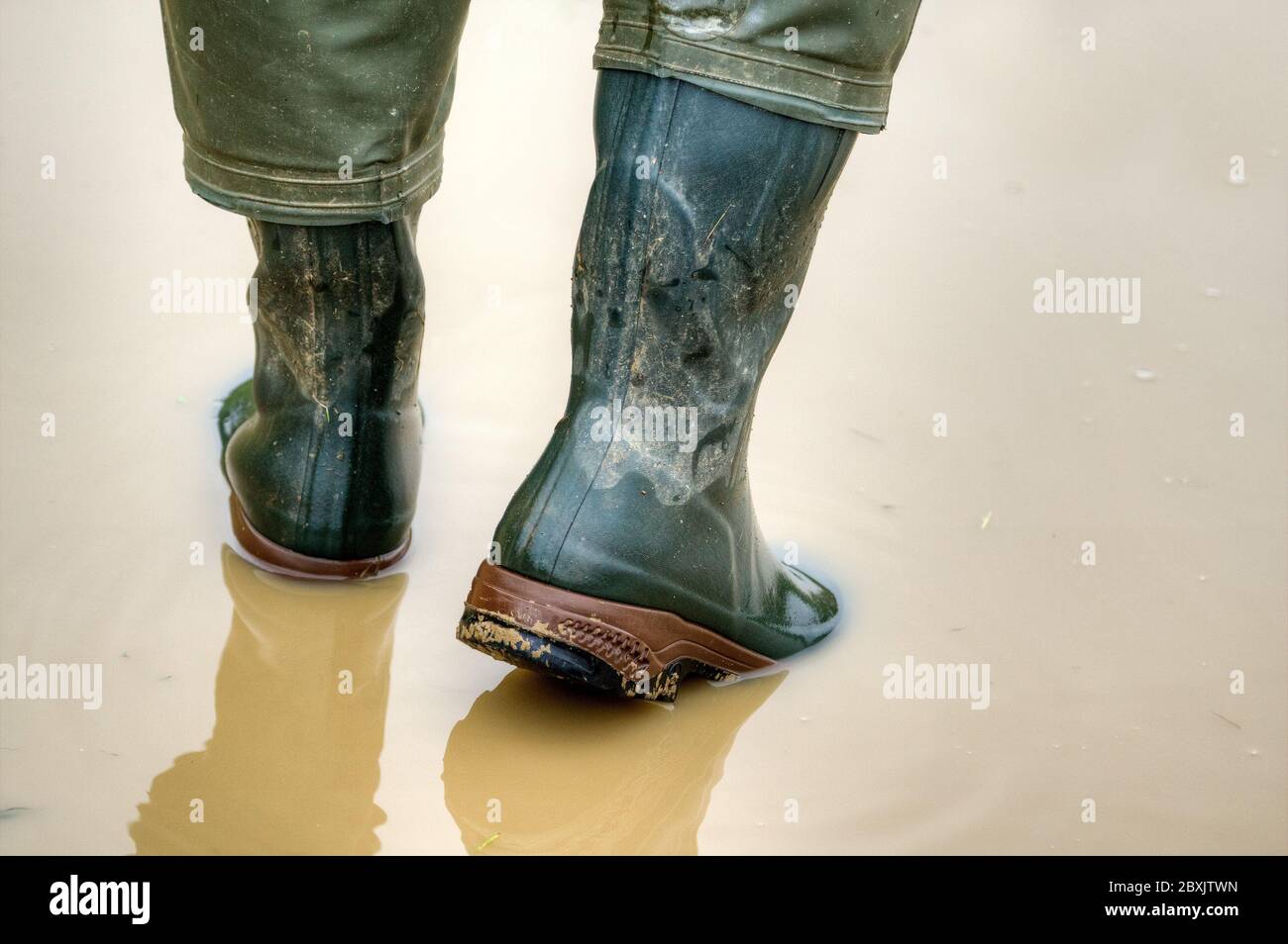 When the rain puddles grow outside in the autumn, it's time to put on the rubber boots. Stock Photo