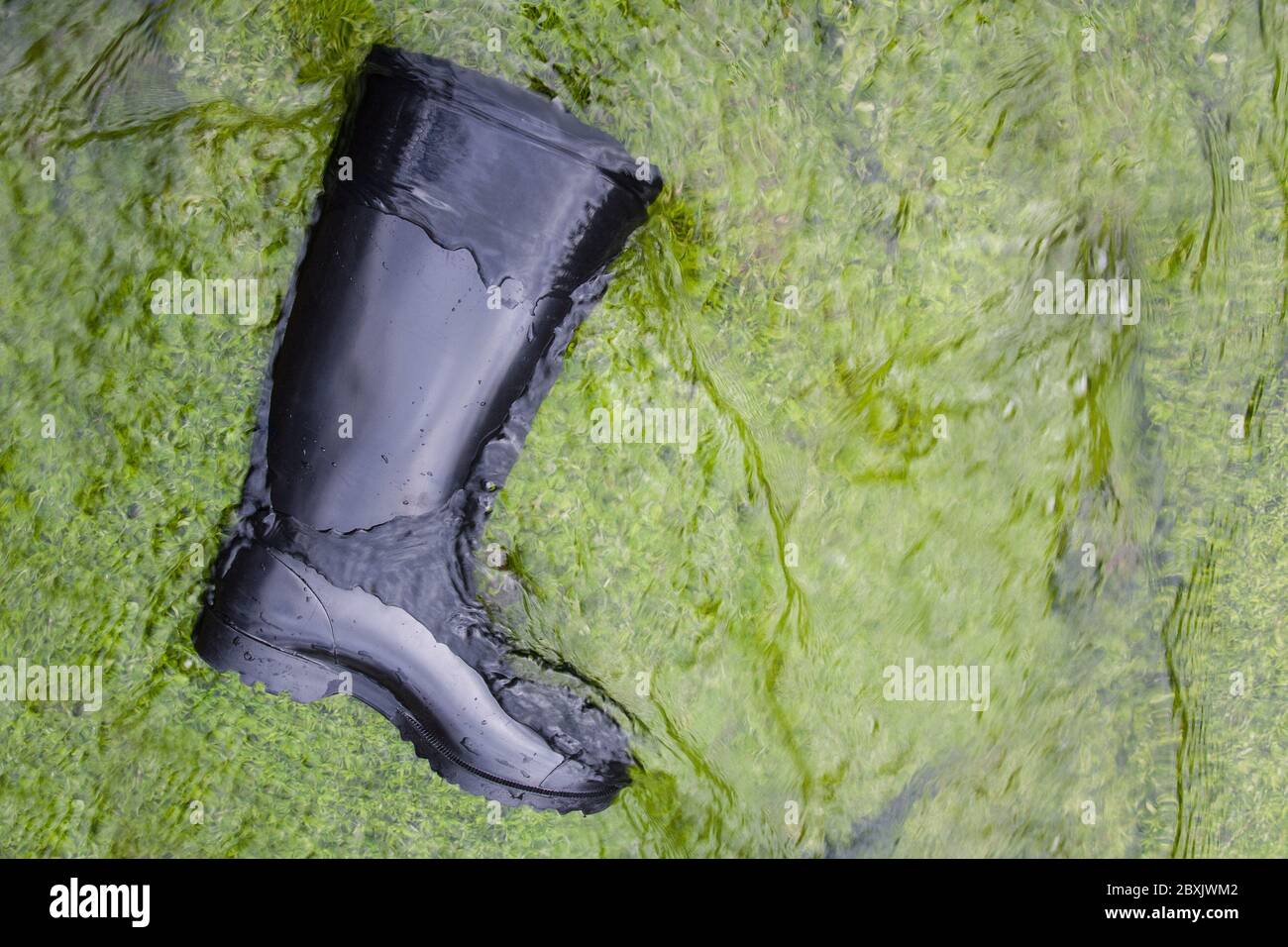 Black rubber boots lie in the stream on green moss. Stock Photo