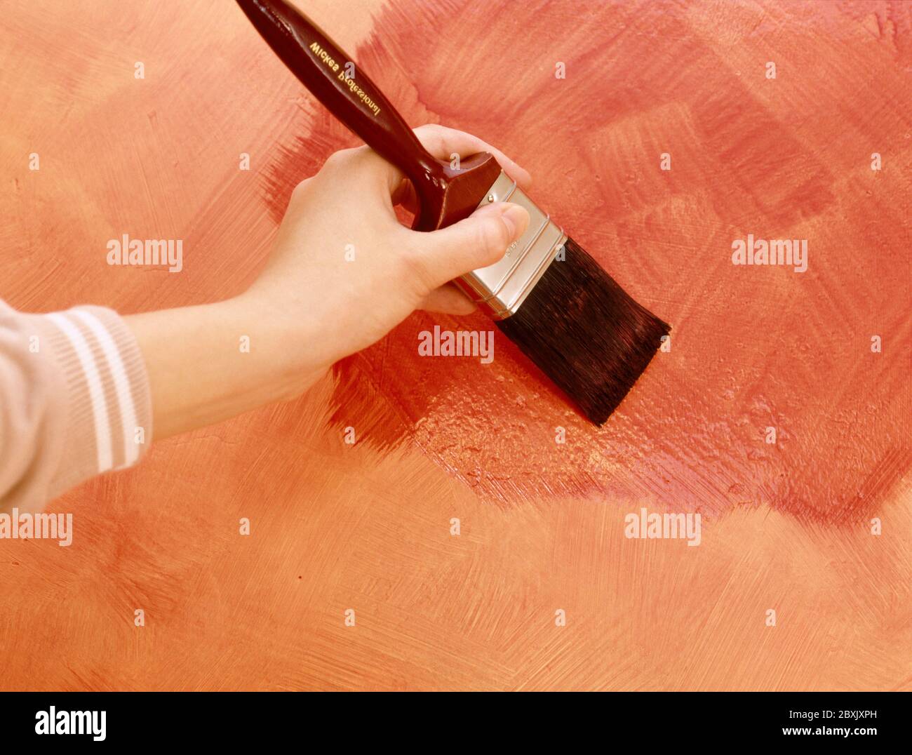 Painting second coat with darker tone orange paint Stock Photo Alamy