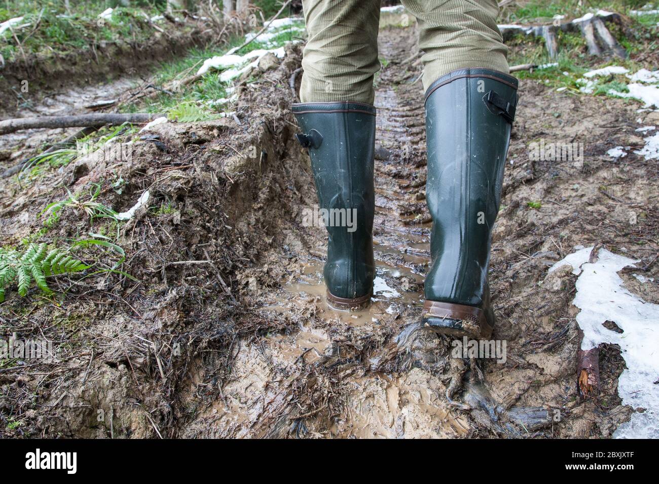 Hunter walks in the hunting area with his green rubber boots in the muddy lane of a wood harvesters. Stock Photo