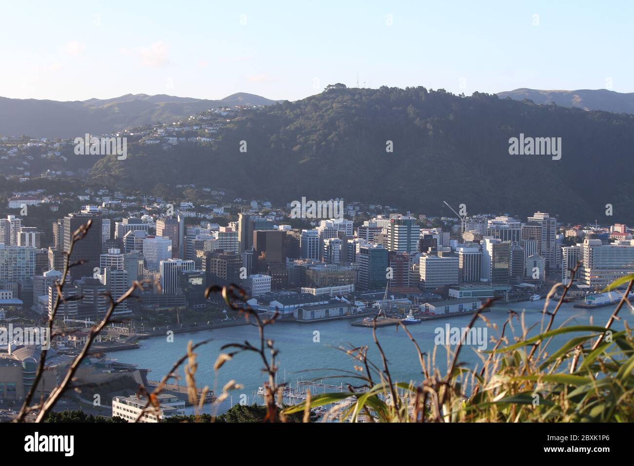 Great Panorama of Wellington City Center and Port with buildings, ships, the ocean and surrounded by a forested mountain. Photo taken from Mt Victoria. Stock Photo