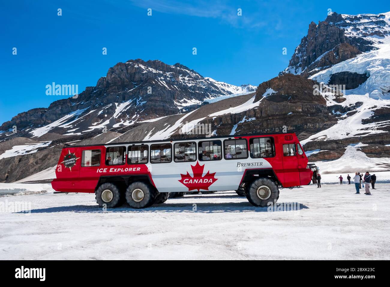 Glacier ice explorer bus hi-res stock photography and images - Alamy