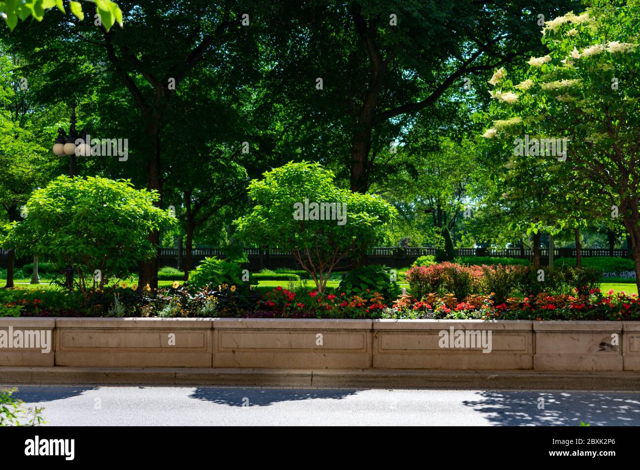 Flowers and Plants in the middle of Michigan Avenue with No Cars and Grant Park in the background in Chicago Stock Photo