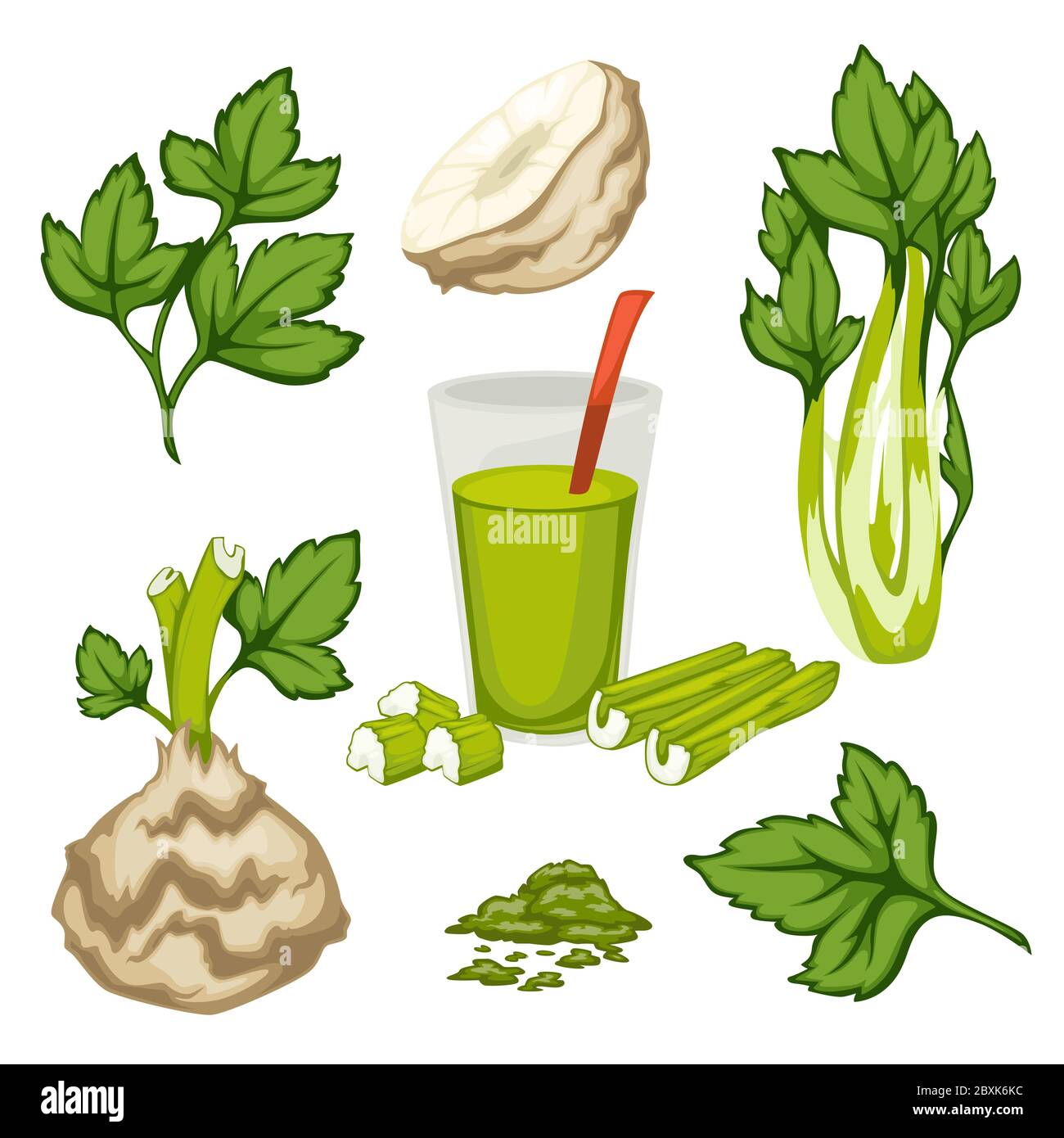 Celery plant leaves and smoothie, set of organic meal Stock Vector