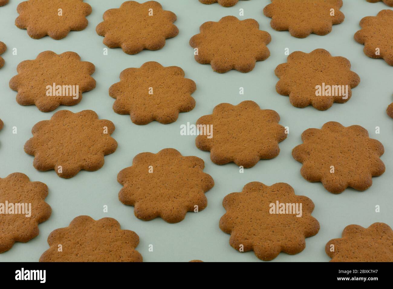 Thin Ginger Cookies Thin Ginger Cookies