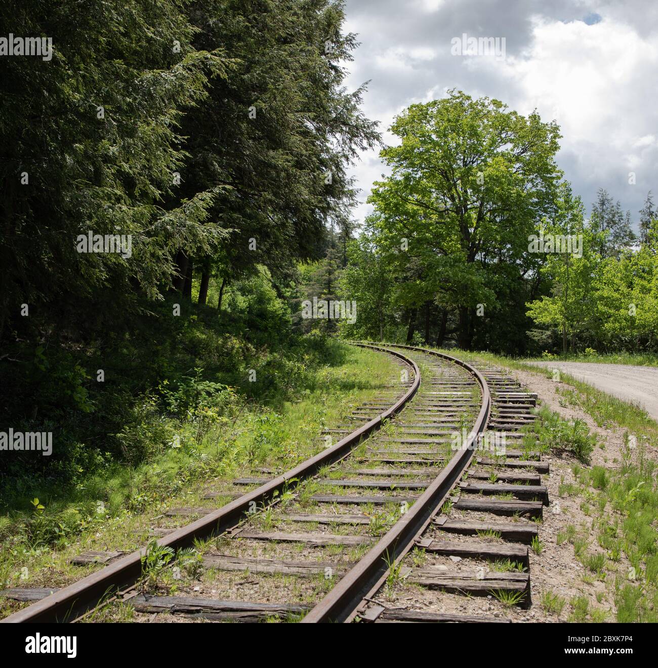 Old rail line beside a forest trail in Huntsville Ontario Stock Photo