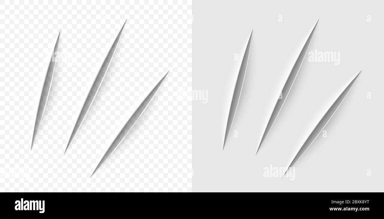 Vector realistic cut with a office knife on paper sheet isolated. Claws ...