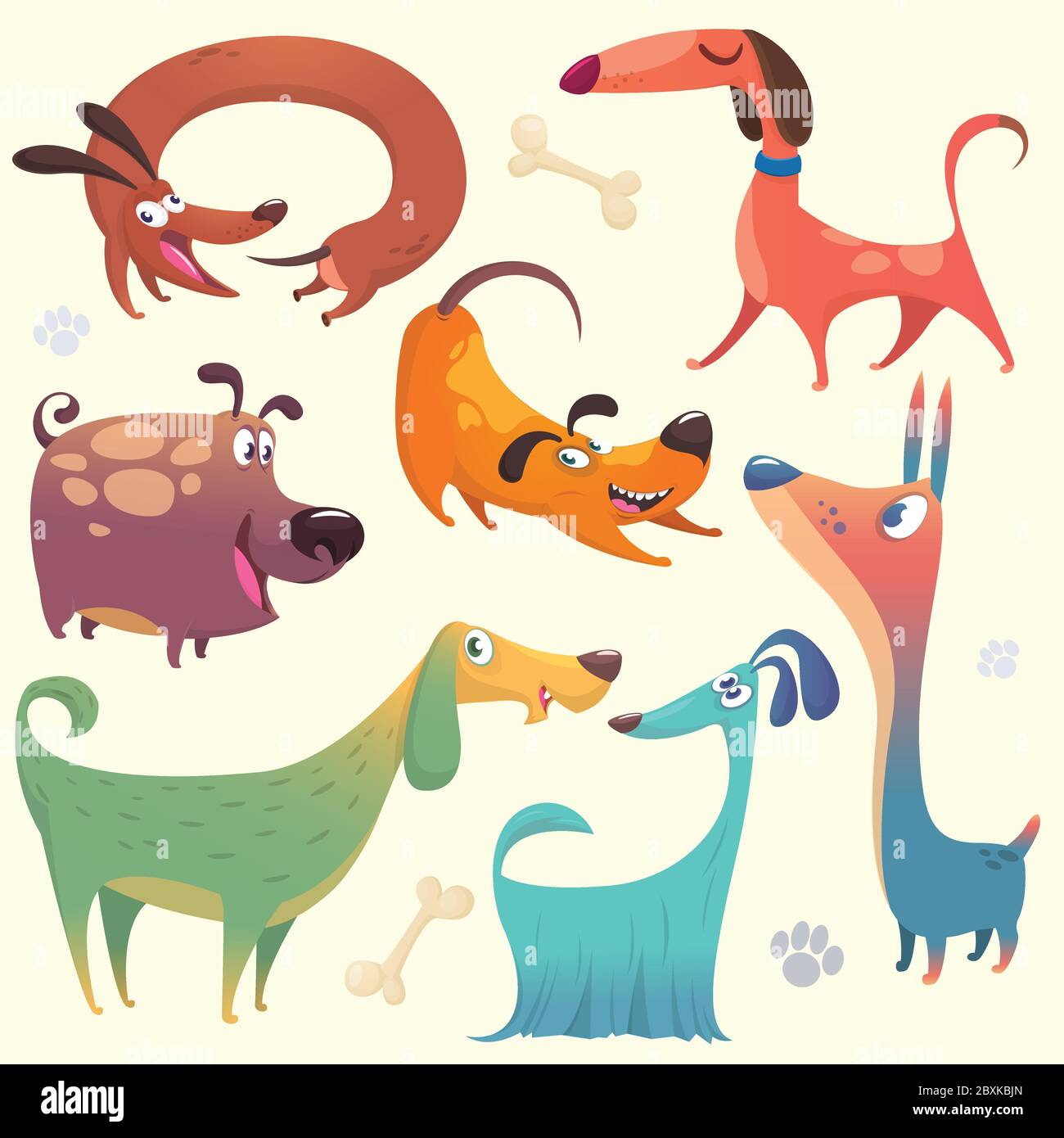 Cartoon dogs set. Vector illustrations of dogs.  Retriever, dachshund, terrier,pitbull, spaniel, bulldog, basset hound, afghan hound, borzoi Stock Vector