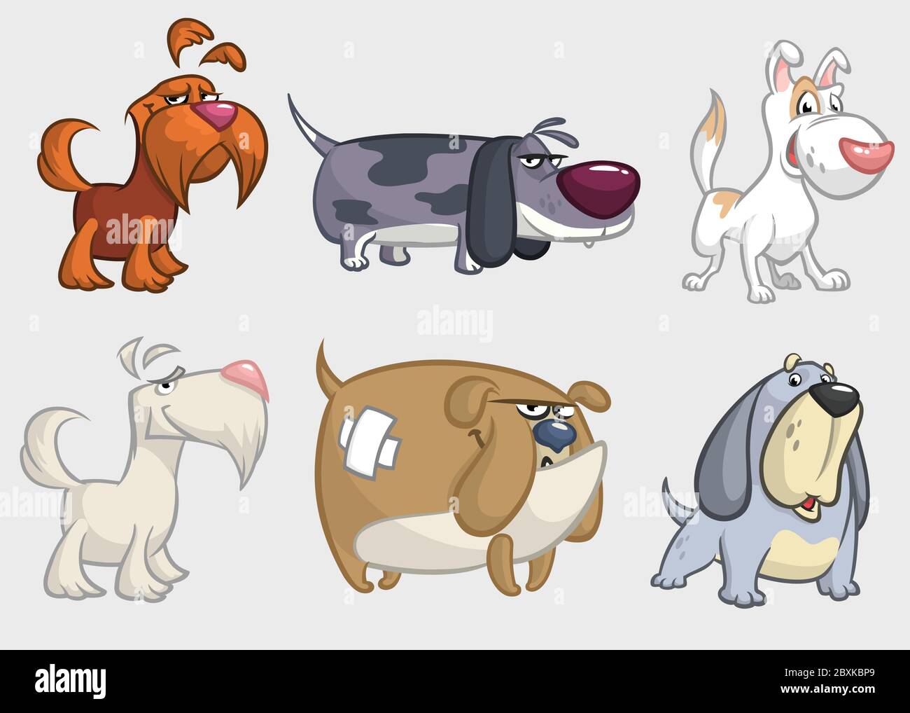 Cartoon dogs set. Retriever, dachshund, terrier,pitbull, spaniel, bulldog, basset hound, afghan hound Stock Vector