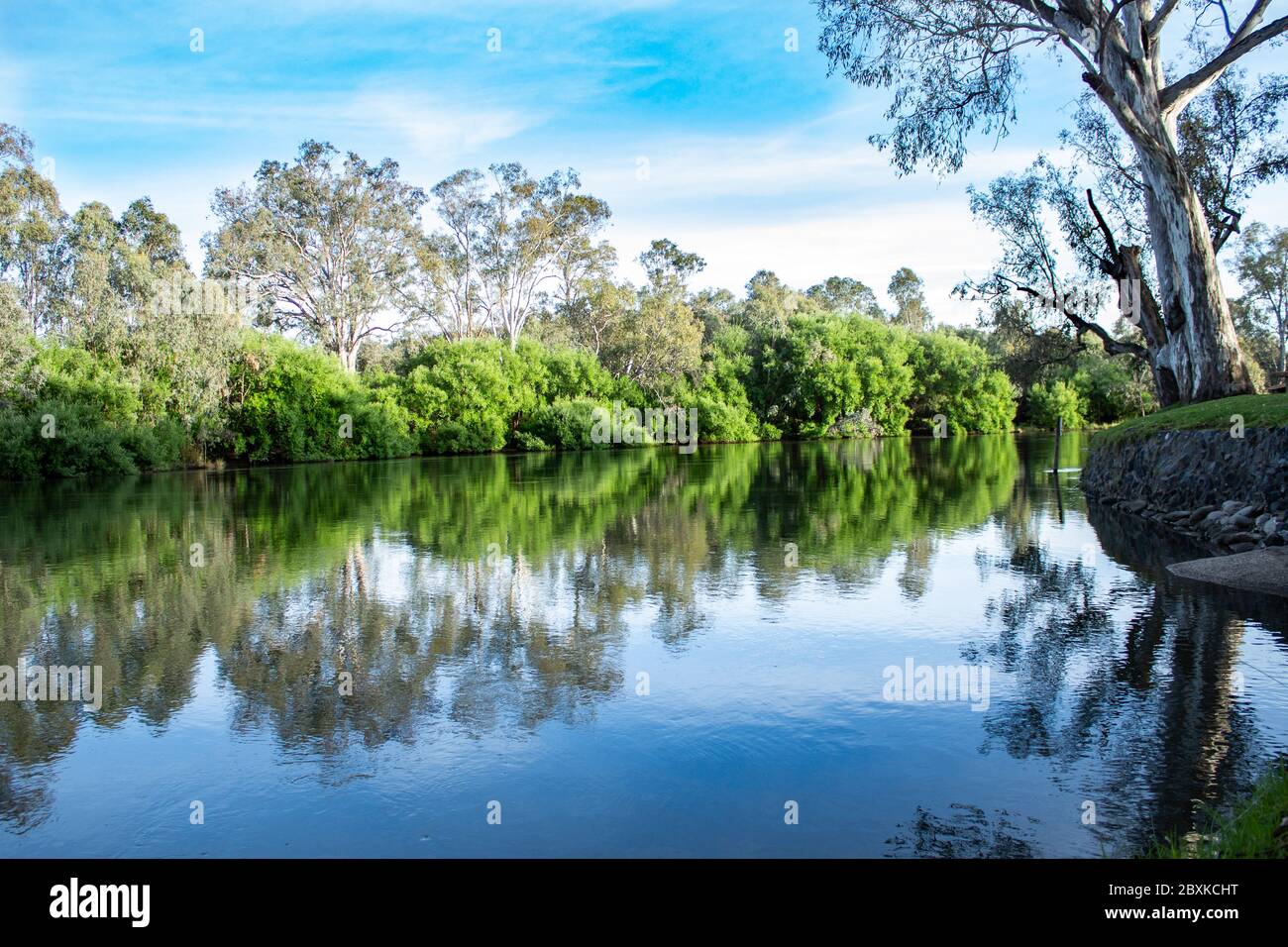 Tranquil reflections of trees in river water surface with Eucalyptus gum trees against blue sky Stock Photo