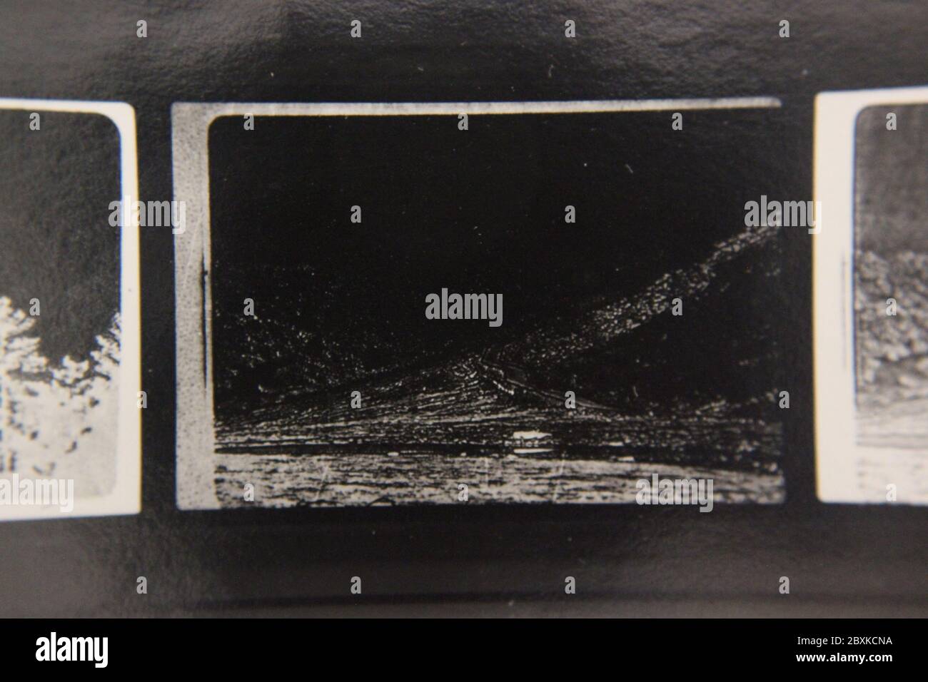 Fine 1970s vintage black and white photography of the beauty of nature ...