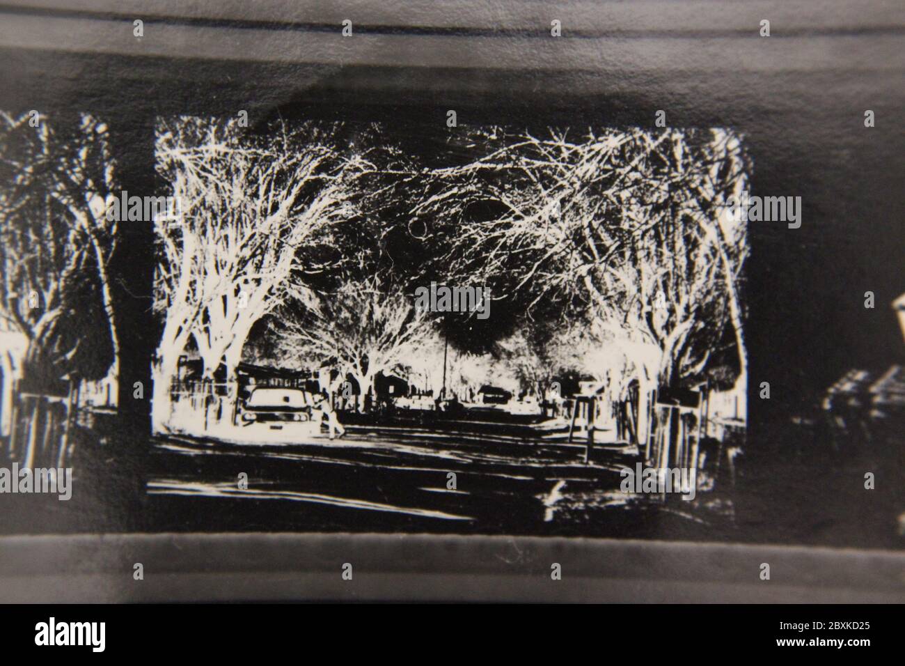 Fine 1970s vintage black and white photography of the beauty of nature ...