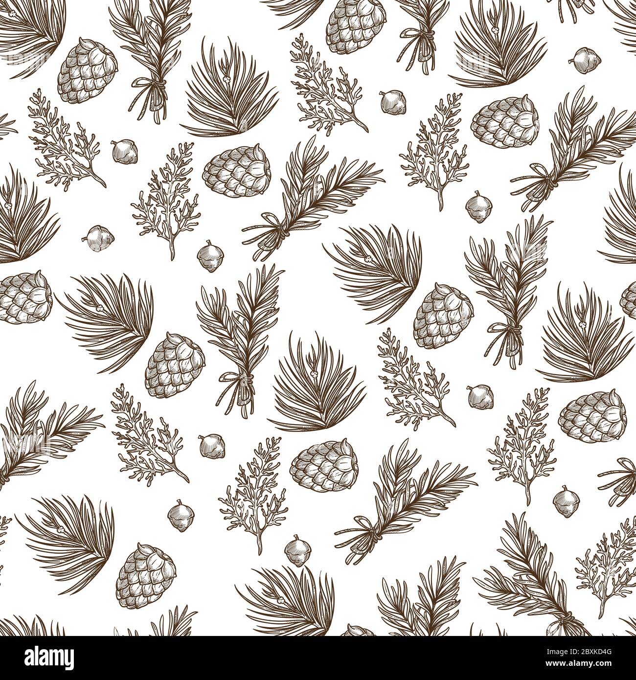 Branches of pine with needles and cones seamless pattern Stock Vector