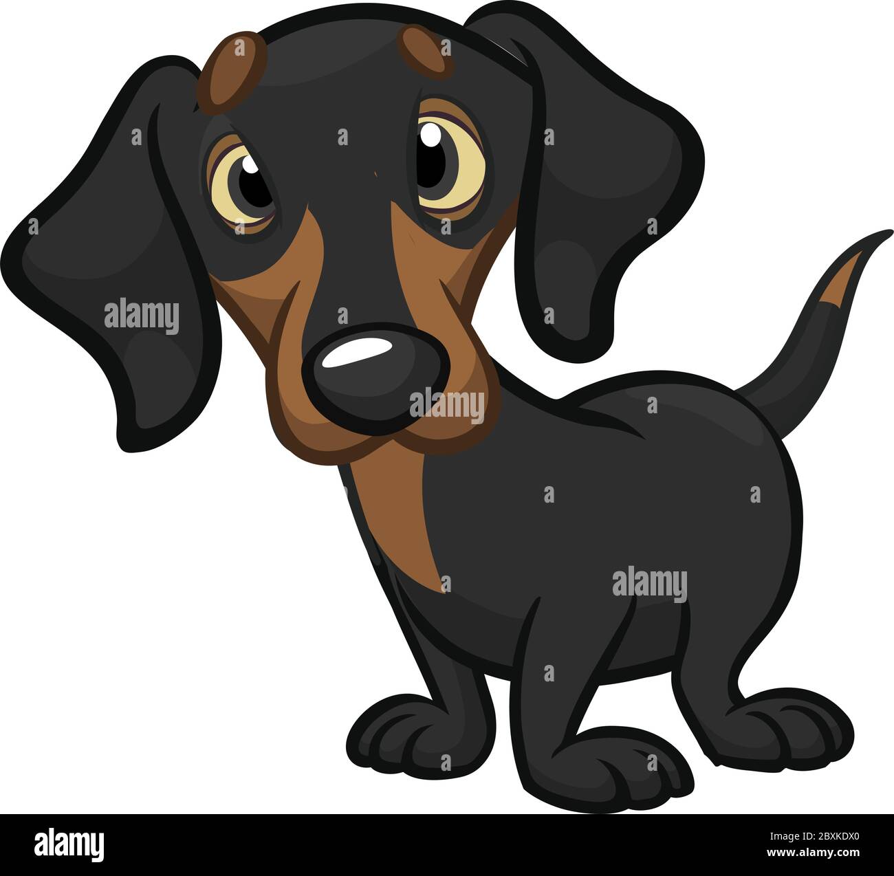 Dachshund best sale cute dogs