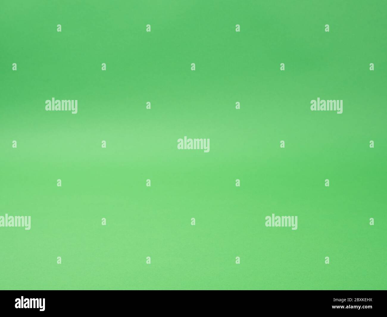 Plain green background close-up. Abstract the image. Stock Photo
