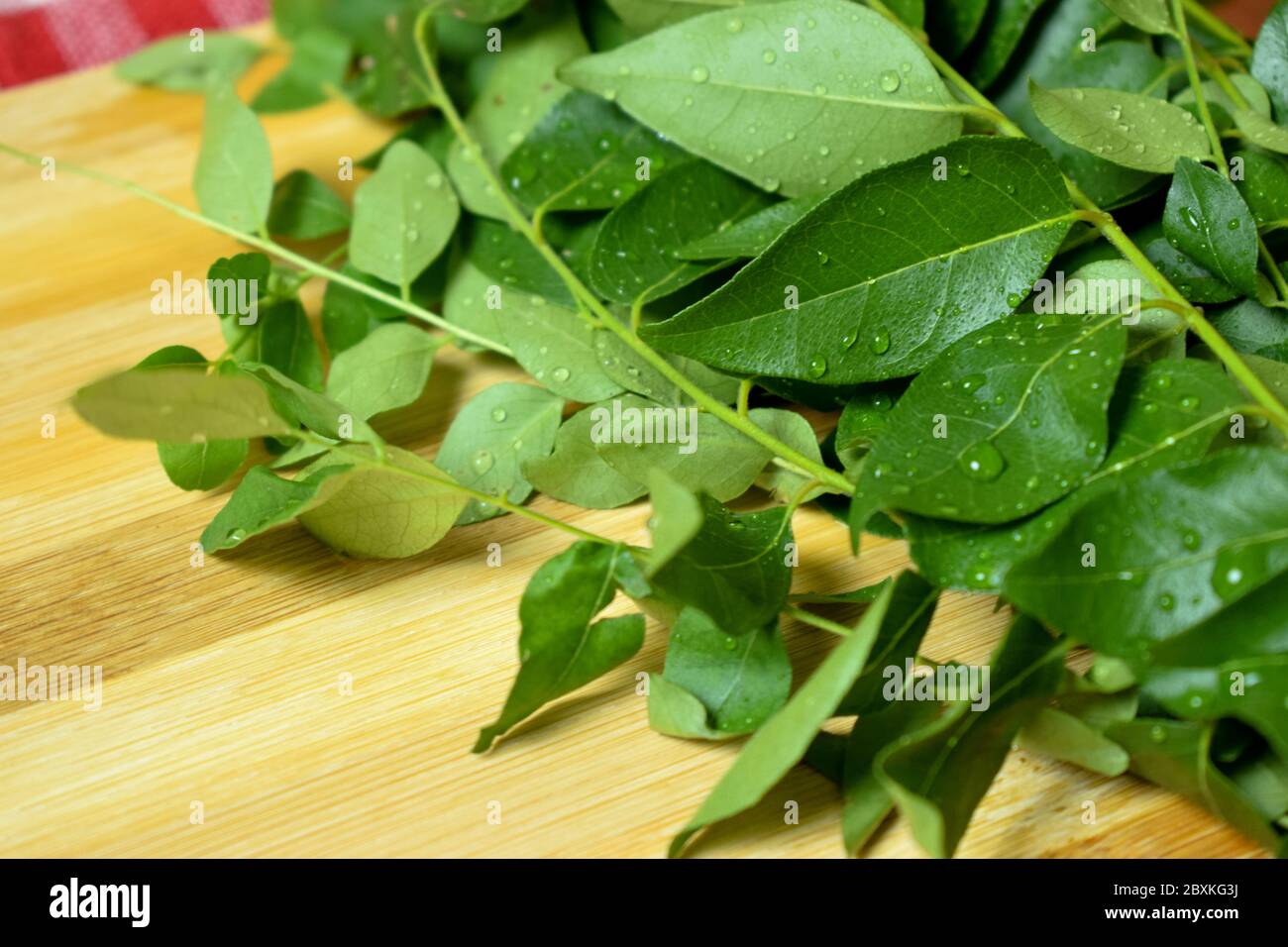 Bunch of Fresh Indian Curry Leaves / Curry Leaf on Wooden Background