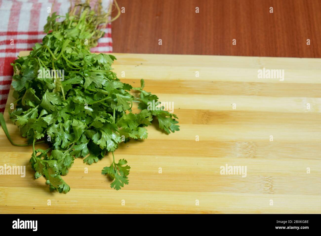 Fresh Coriander Leaves, Green Cilantro on Wooden Surface Stock Photo
