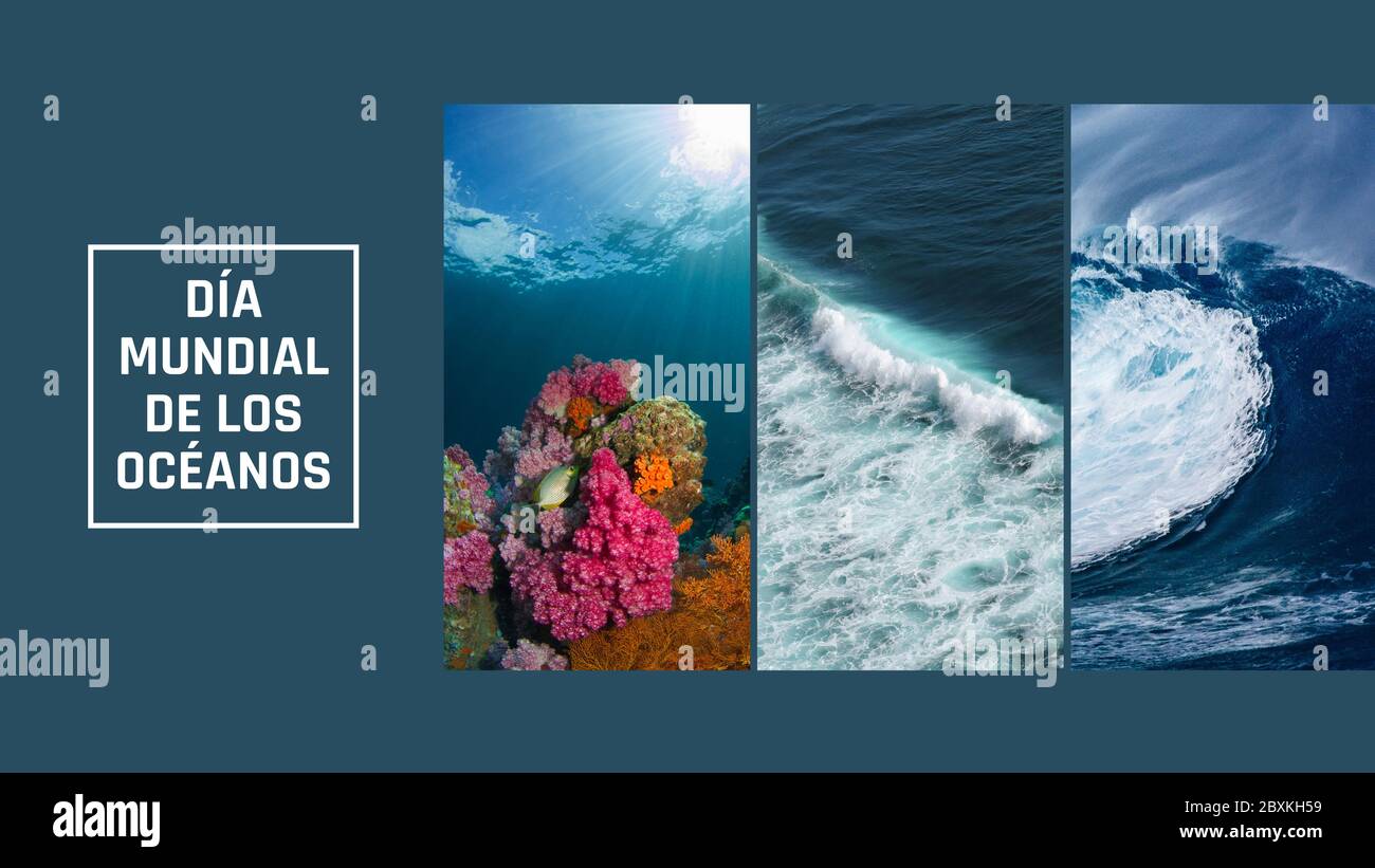 Banner Style World Ocean Day High Resolution Stock Photography And Images Alamy Banner Style World Ocean Day High Resolution Stock Photography And Images Alamy