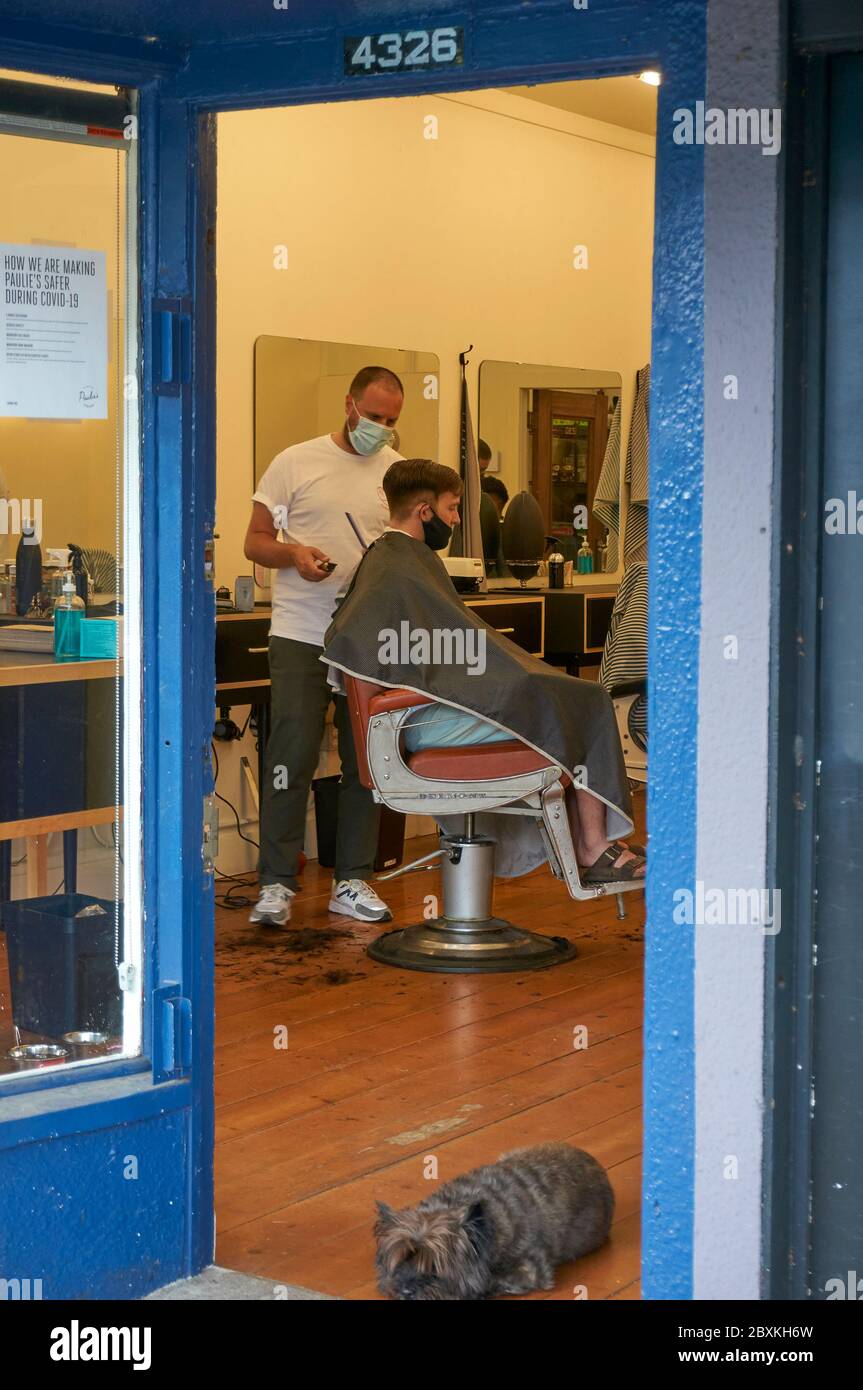 Vancouver, Canada. June 6, 2020. A customer sitting in a barber's chair gets a haircut as restrictions are lifted and barber shops and hair dressing salons reopen during the COVID 19 pandemic. Stock Photo