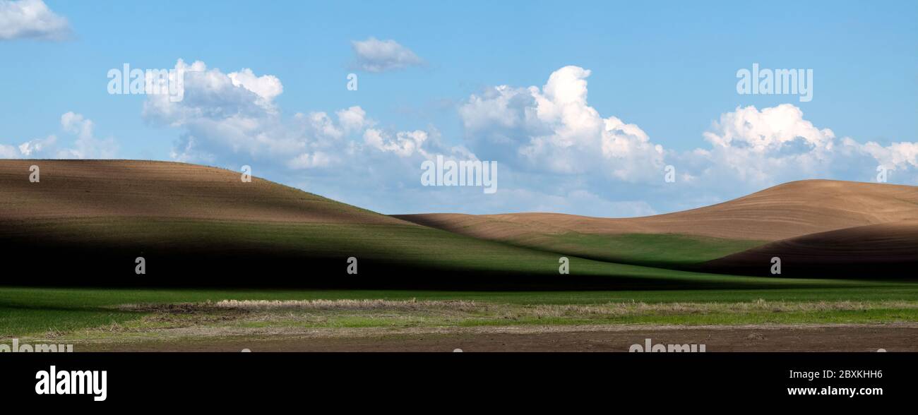 Clouds create interesting shadows on the rolling hills of farmland in the Palouse region of Washington State Stock Photo