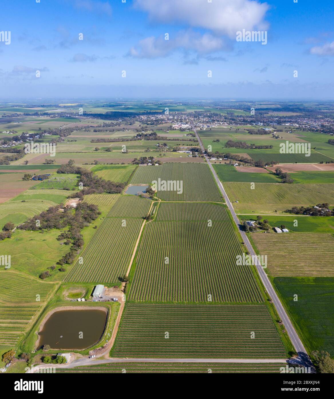 Panoramic aerial view towards Tununda in hte famous wine growing Barossa Valley region; many vineyards arre clearly visible in the foreground Stock Photo