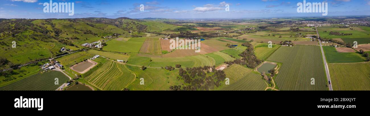 Panoramic aerial view towards Tununda in the famous wine growing Barossa Valley region; many vineyards are clearly visible in the foreground Stock Photo