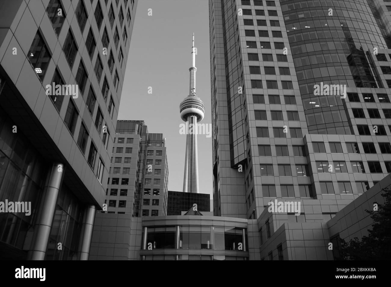 CN tower between buildings, Toronto, Canada Stock Photo - Alamy