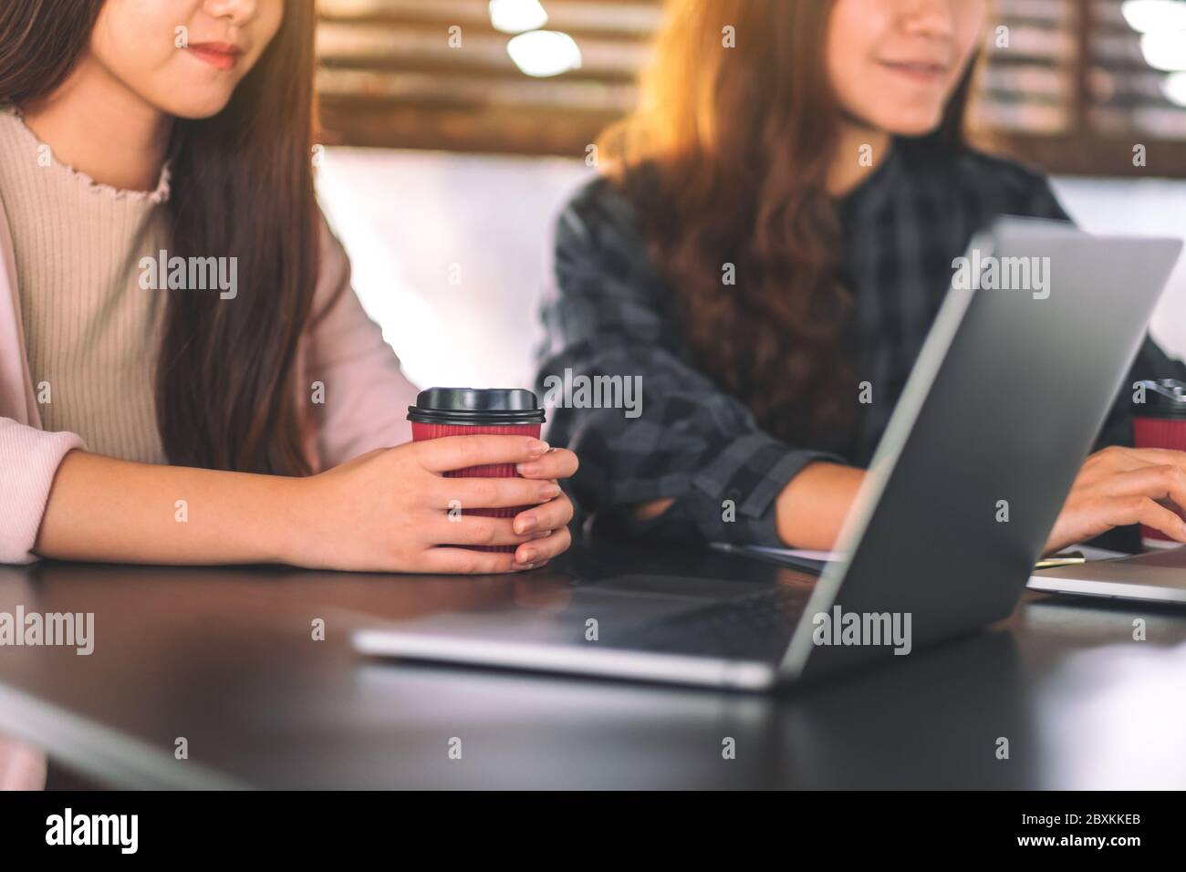 Women using and working on laptop computer together Stock Photo - Alamy