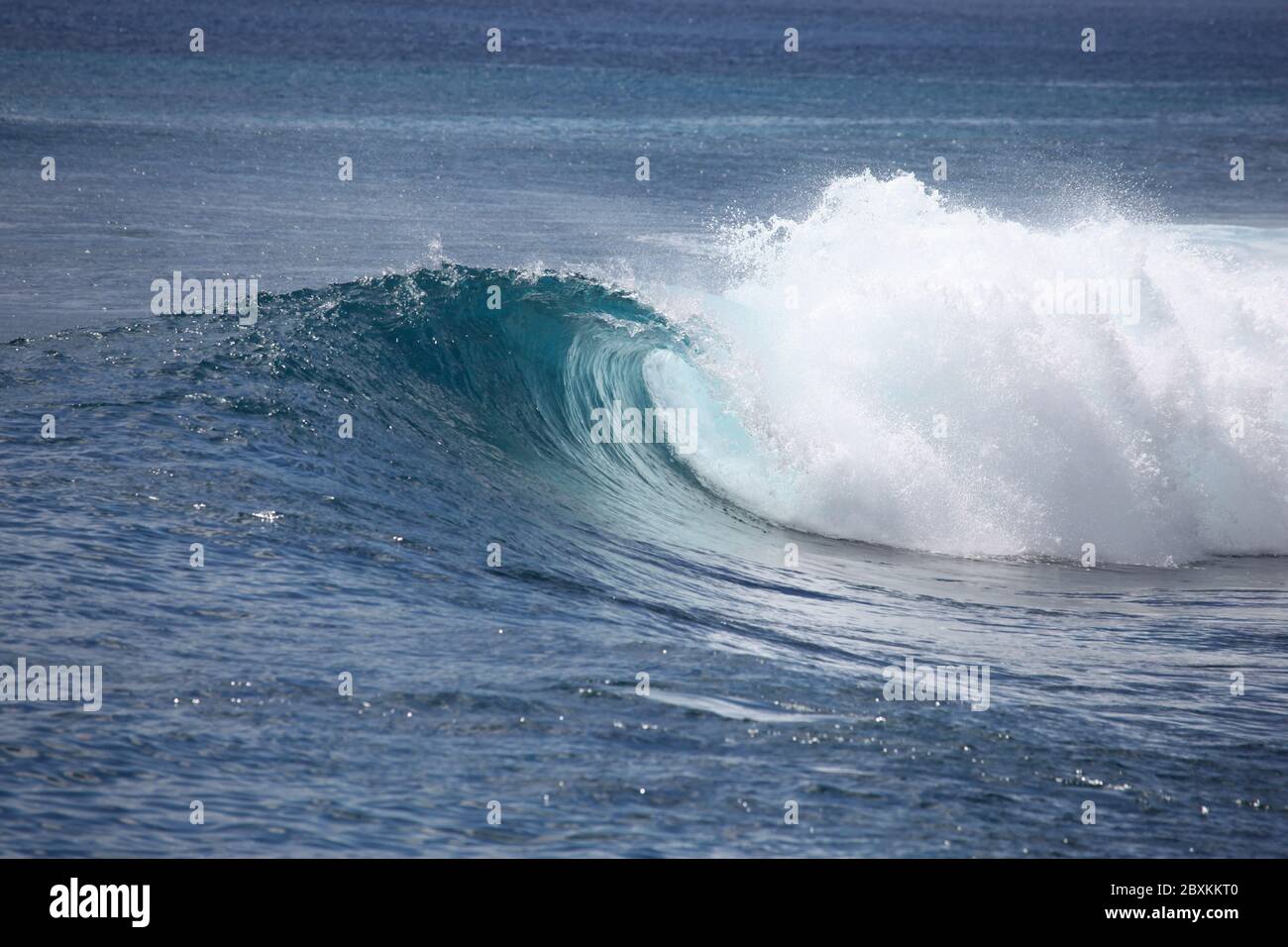 A wave breaks unridden on a shallow coral reef in the Mentawai Islands - Indonesia. These tropical islands are a popular surfing destination. Stock Photo