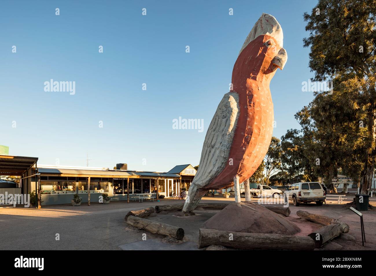 Kimba South Australia September 13th 2019 : Giant wooden galah sculpture in Kimba in South Australia, known as the halfway point across Australia Stock Photo