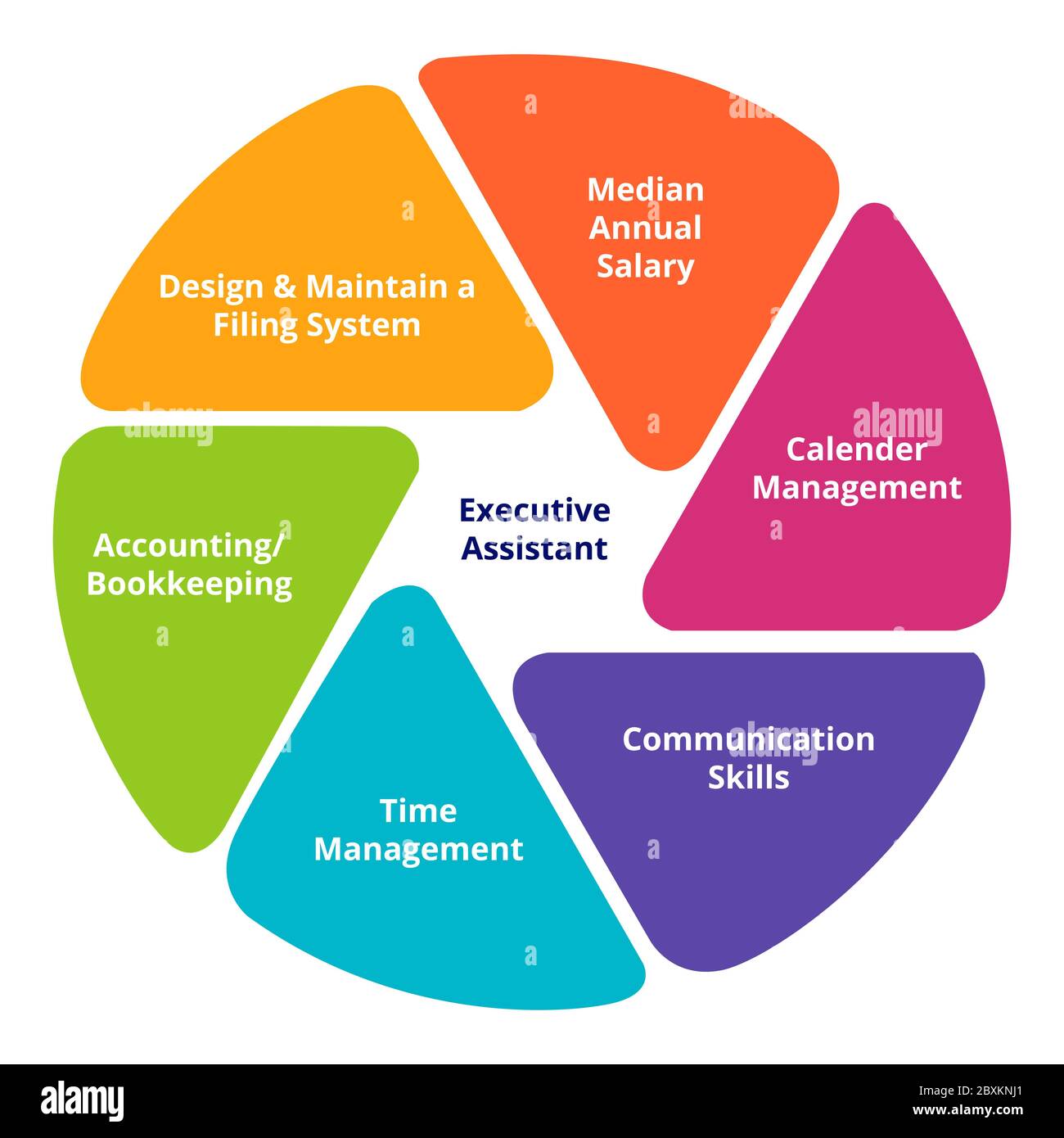 Diagram Executive Assistant with element modern flat style Stock Vector