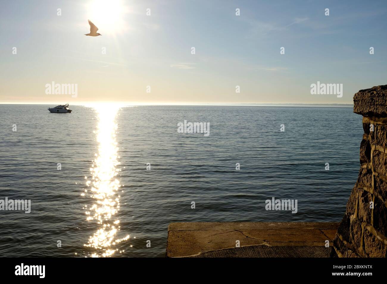 A seagull flys past seafront promenade sea wall as sunset over horizon boat at anchor in Totland Bay Isle of Wight clear sky bright good weather Stock Photo