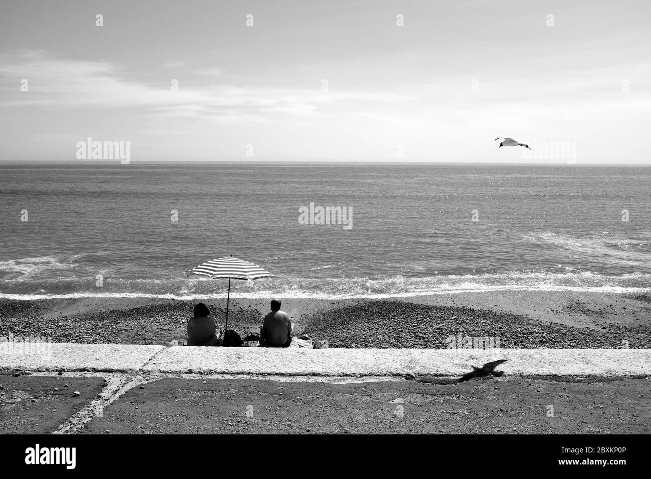 Couple sitting down under sun shade beach umbrella on beach shoreline looking out to sea hot sunny day seagull flying overhead Stock Photo