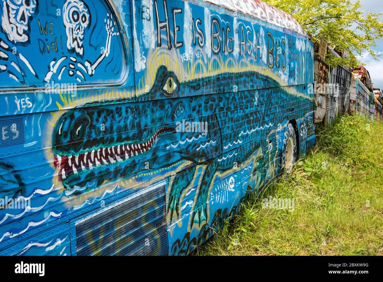 Alligator bus at the School Bus Graveyard in Alto, Georgia. (USA) Stock Photo