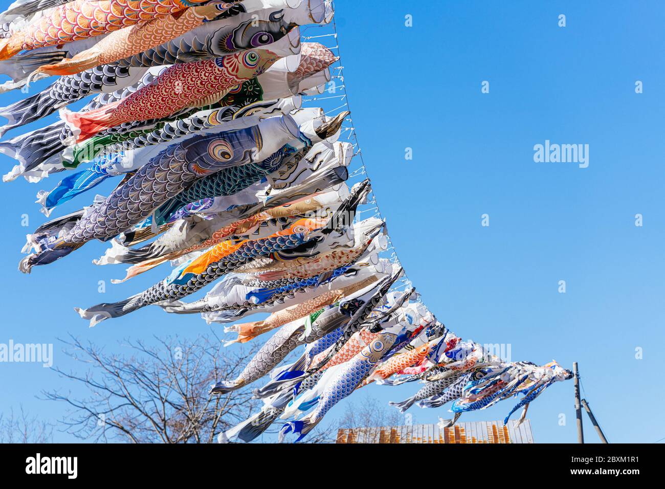 Koinobori Carp Streamer Stock Photo Alamy Koinobori Carp Streamer Stock Photo Alamy