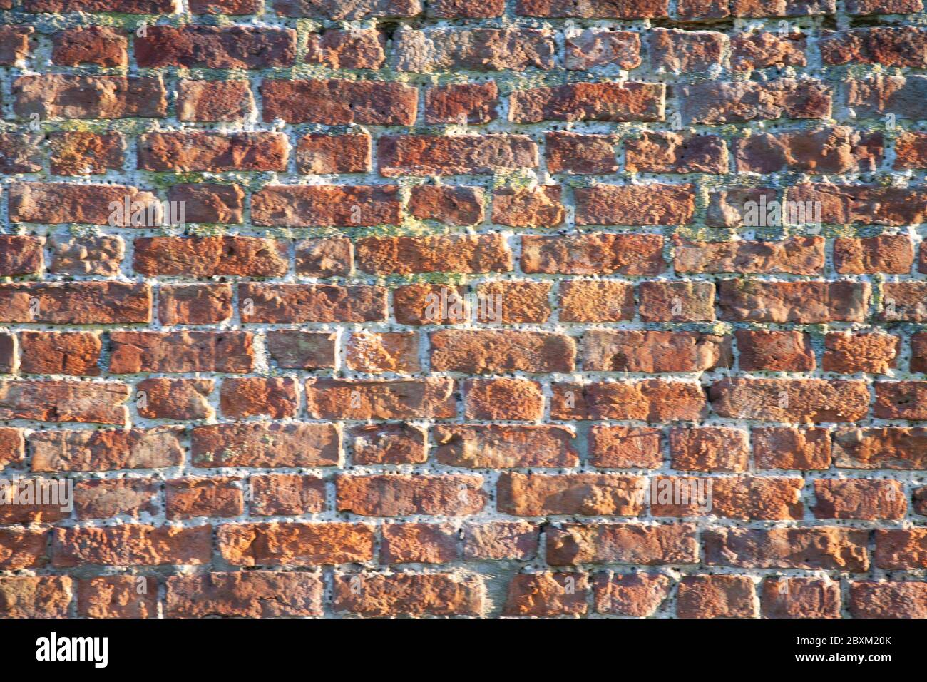 Old, weathered bricks in wall Stock Photo