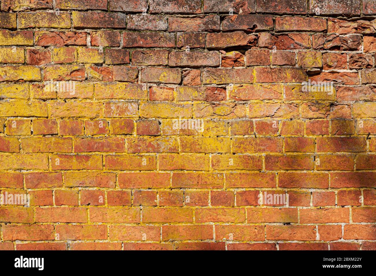 Old brick wall in sunlight Stock Photo