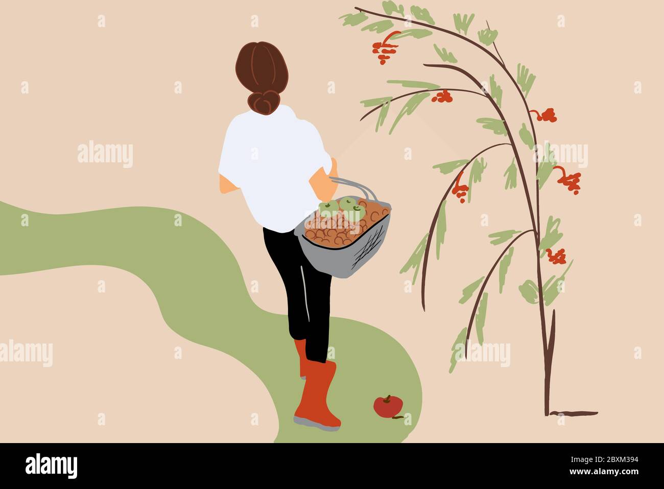 Vector illustration of a young woman picking berriesin the garden or forest, view from the backside Stock Vector