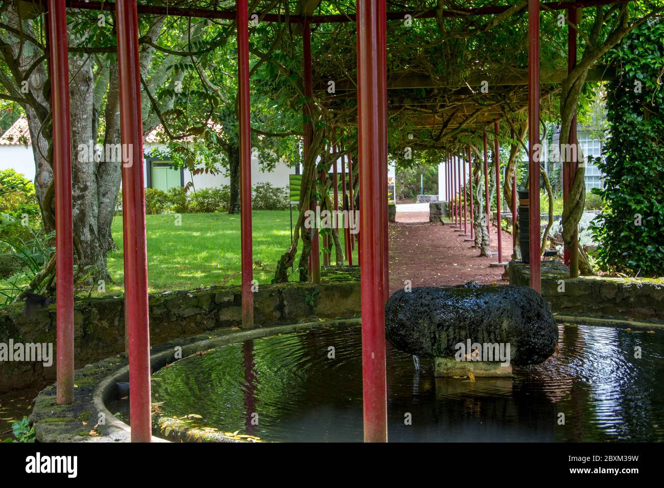 Walk on the Azores archipelago. Discovery of the island of Faial ...