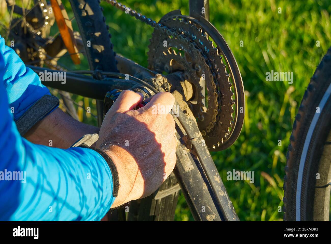 mens pedal bikes